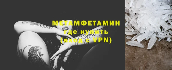 прущие грибы Алапаевск